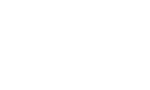 USPS Eagle Logo